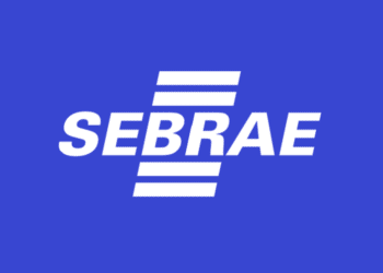 Trabalhe com Inovação e Empreendedorismo: Vaga de Analista I no SEBRAE/SC para Projetos e Negócios