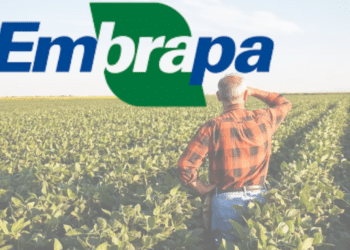 Oportunidade Imperdível! Concurso EMPRABA 2025 / Imagem: Agência Brasil e Blog do Bizu