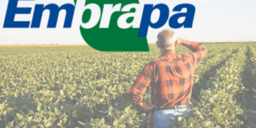 Oportunidade Imperdível! Concurso EMPRABA 2025 / Imagem: Agência Brasil e Blog do Bizu