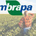 Oportunidade Imperdível! Concurso EMPRABA 2025 / Imagem: Agência Brasil e Blog do Bizu