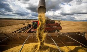 Oportunidades no Agronegócio 2025. Imagem: Agência Brasil