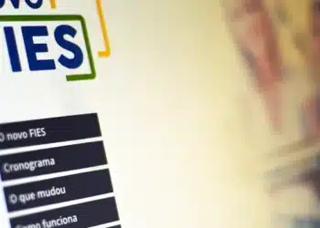 Tela do site do Novo FIES destacando informações sobre cronograma e funcionamento do programa.