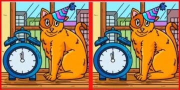 Teste de QI gato com chapéu de festa ao lado de um relógio despertador em desafio de encontrar diferenças