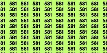 Teste de QI com imagem de um padrão repetitivo com o número 581 em uma grade sobre fundo verde. A imagem pode ser usada para testar padrões visuais ou percepção numérica.