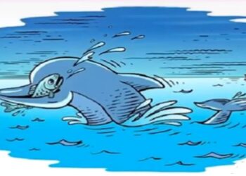 Desafio lógico com uma ilustração de golfinho com peixe na boca e cenário marinho com ilusão de ótica
