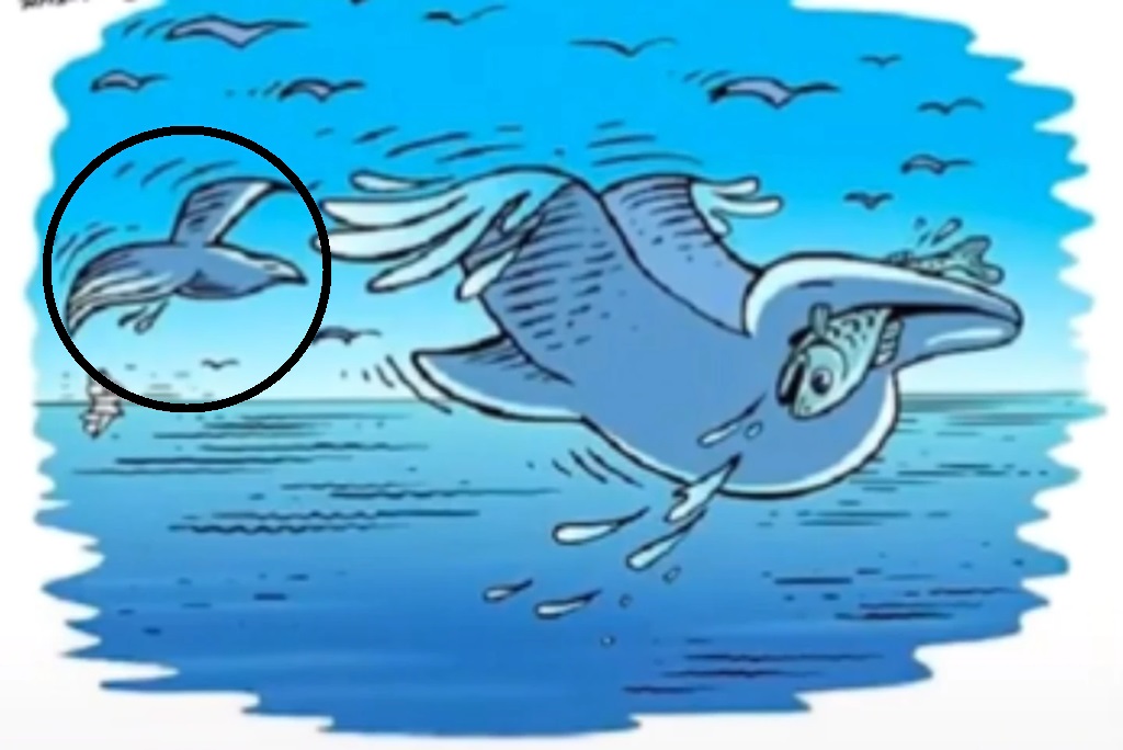 Solução do desafio lógico com uma ilustração de golfinho com peixe na boca e cenário marinho com ilusão de ótica