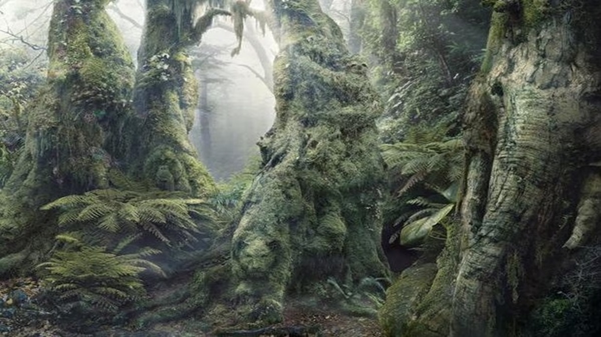 Imagem de uma floresta densa e sombria, com árvores cobertas de musgo e vegetação rasteira ao redor.