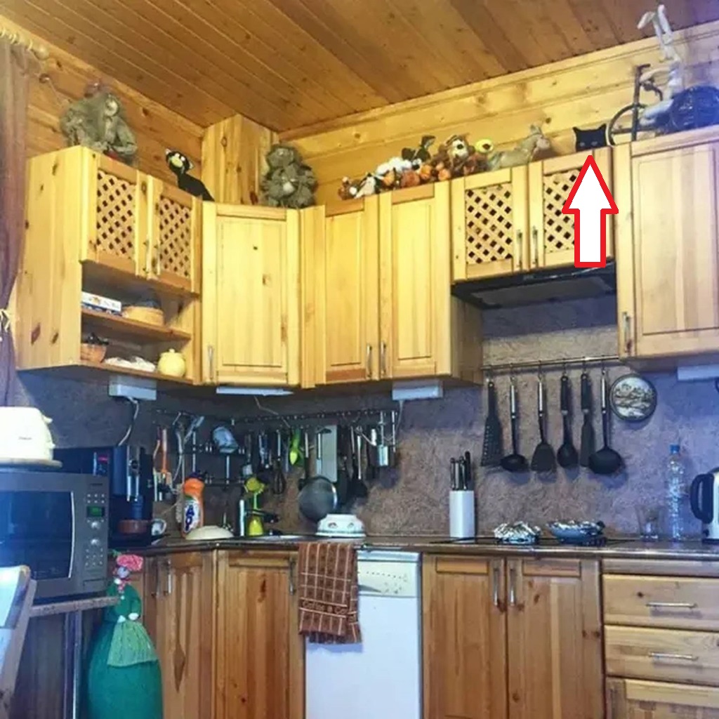 Teste de QI na cozinha rústica com armários de madeira e um gato preto escondido no alto do armário