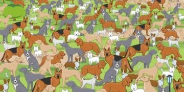 Teste de QI com muitos cachorros de diferentes raças e cores em um parque, formando um desafio visual para encontrar um cachorro escondido