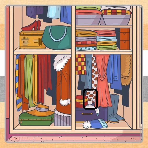 Solução do desafio lógico com uma ilustração colorida de um armário organizado com roupas, sapatos e acessórios