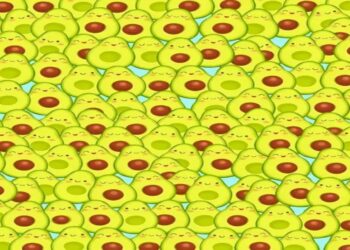 Desafio lógico com uma imagem ilustrativa de vários abacates desenhados, sendo que um deles tem o caroço em formato de coração