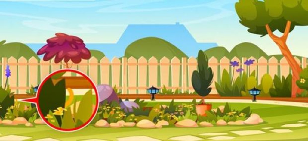 Solução do desafio lógico com uma imagem de um jardim colorido com árvores, flores e cercado, contendo um gato escondido para desafio visual.