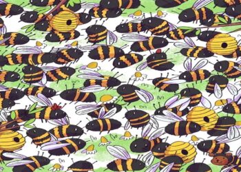 Desafio lógico com a ilustração de várias abelhas voando ao redor de uma colmeia com um pequeno urso camuflado entre elas.