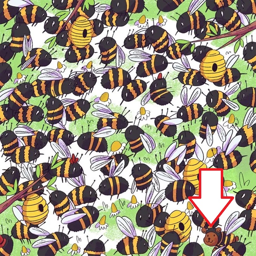 Solução do desafio lógico com a ilustração de várias abelhas voando ao redor de uma colmeia com um pequeno urso camuflado entre elas.