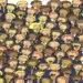 Desafio visual com várias crianças com uniforme escolar em um desafio de observação com corujas escondidas