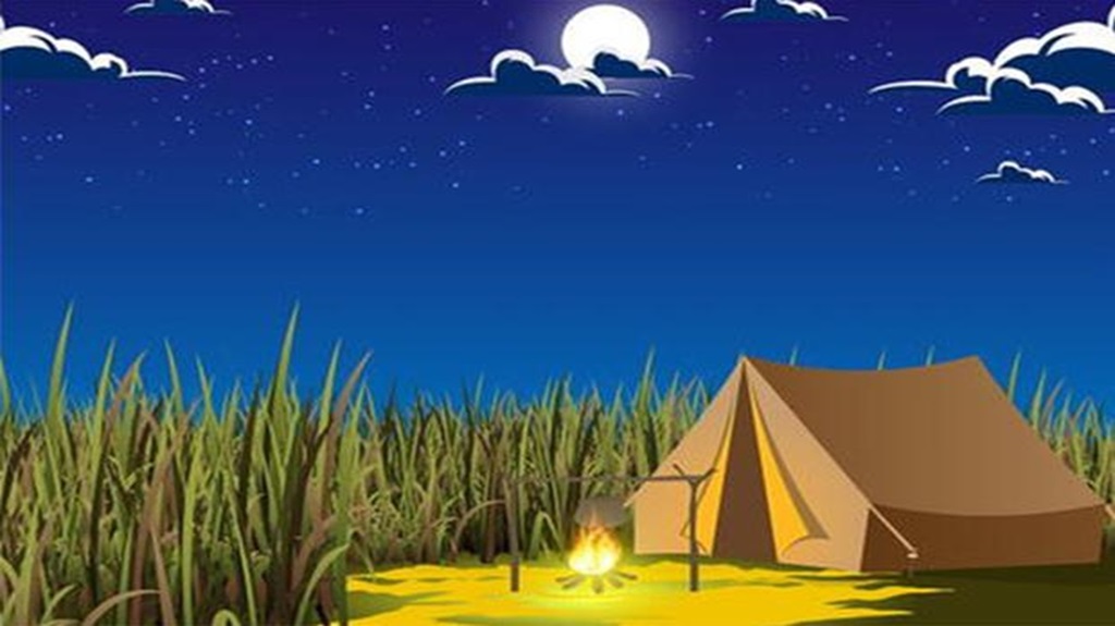 Teste de QI com um ilustração de um acampamento com barraca e fogueira acesa durante uma noite estrelada.