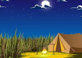 Teste de QI com um ilustração de um acampamento com barraca e fogueira acesa durante uma noite estrelada.