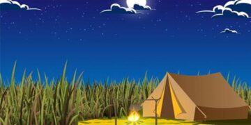 Teste de QI com um ilustração de um acampamento com barraca e fogueira acesa durante uma noite estrelada.