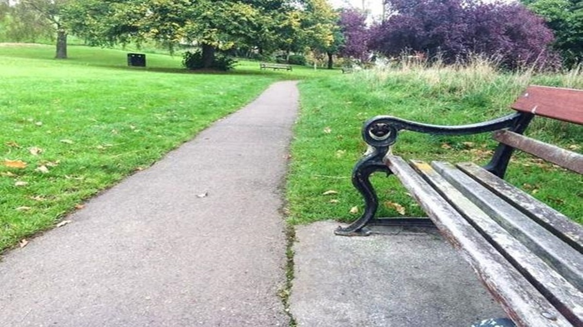 Teste de QI com banco de parque com calçada e grama ao redor