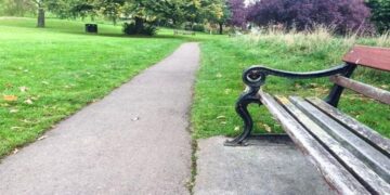 Teste de QI com banco de parque com calçada e grama ao redor