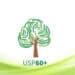 Logo do programa USP 60+ representado por uma árvore com linhas verdes, simbolizando a conexão com a natureza e o aprendizado.