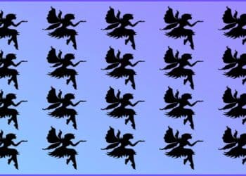 Desafio visual matriz com várias fadas pretas silhuetadas sobre fundo roxo-azulado, com uma fada diferente escondida.