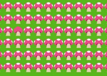 Imagem de um padrão com cogumelos rosa no fundo verde, com um cogumelo diferente entre os outros.