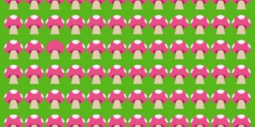 Imagem de um padrão com cogumelos rosa no fundo verde, com um cogumelo diferente entre os outros.