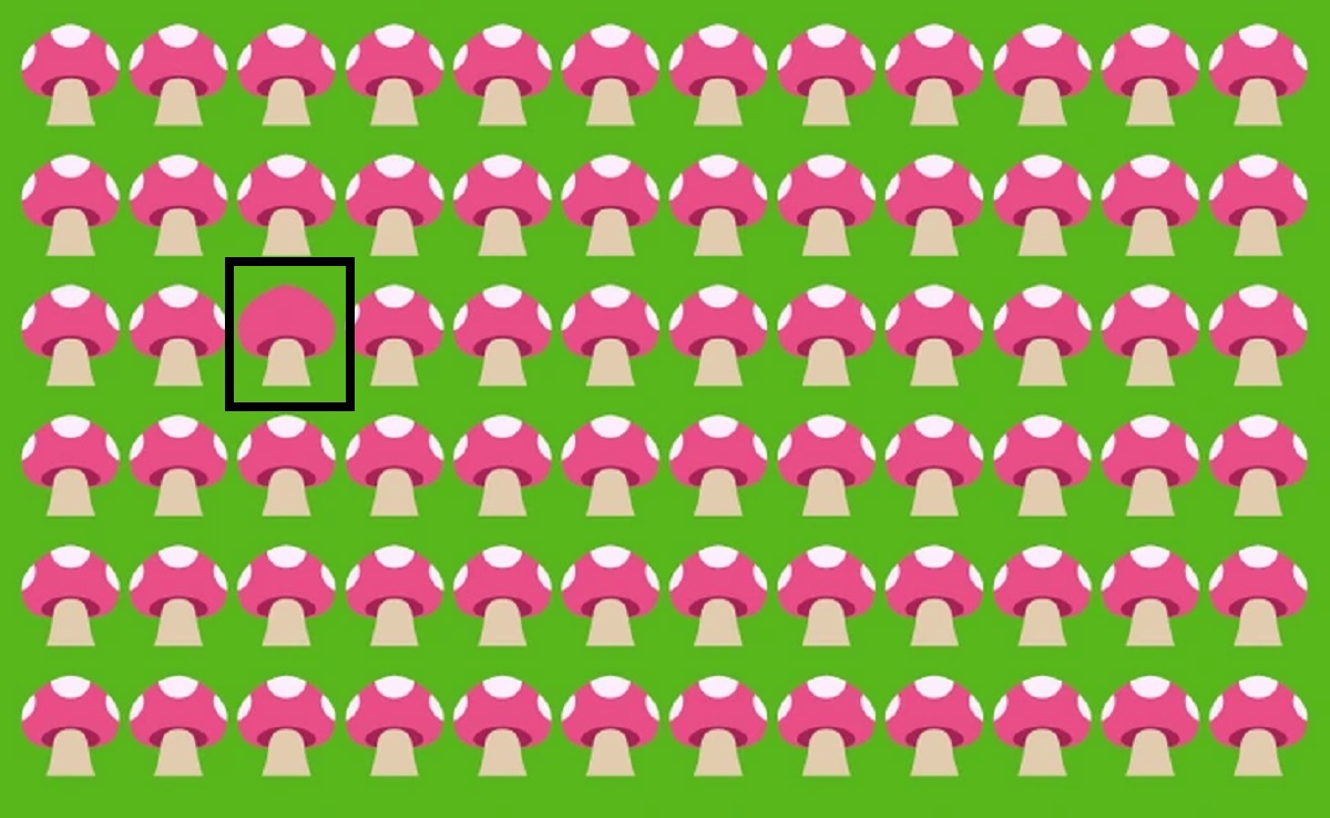 Imagem de um padrão com cogumelos rosa no fundo verde, com um cogumelo diferente entre os outros.