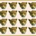Teste visual mosaico de rostos de onças com uma diferente na última linha