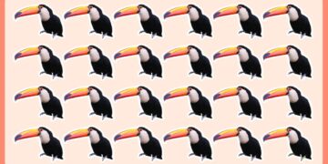 Teste visual com vários tucanos alinhados e um diferente escondido entre eles