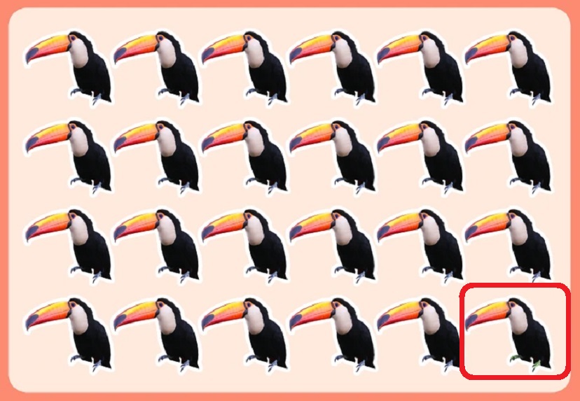 Teste visual com vários tucanos alinhados e um diferente escondido entre eles