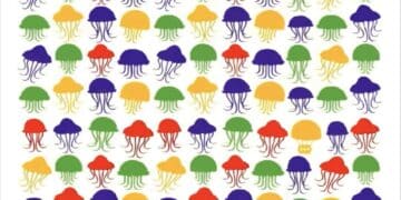 Desafio lógico com várias águas-vivas nas cores azul, vermelha, verde e amarela, e um balão camuflado.