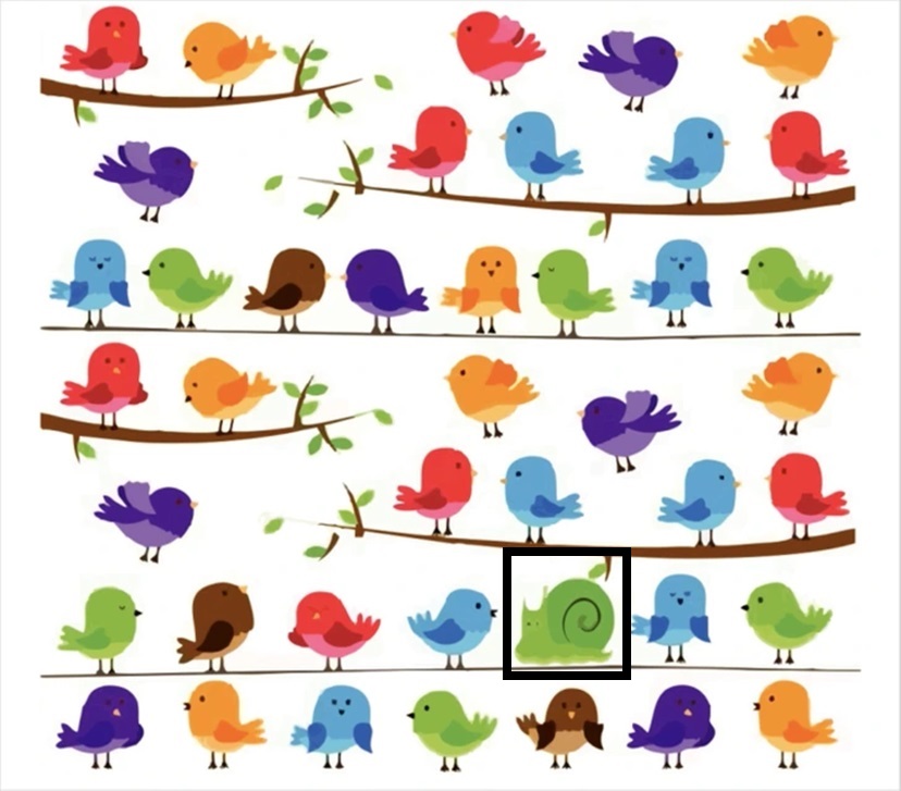Desafio visual com pássaros multicoloridos empoleirados em galhos com folhas e um caracol verde ao fundo.