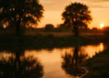 Imagem do pôr do sol em um lugar cheio de árvores e um lago, refletindo a dúvida de português que muitos tem sobre escrever tardezinha ou tardinha.