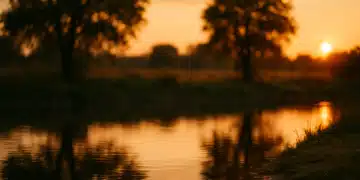 Imagem do pôr do sol em um lugar cheio de árvores e um lago, refletindo a dúvida de português que muitos tem sobre escrever tardezinha ou tardinha.