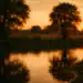 Imagem do pôr do sol em um lugar cheio de árvores e um lago, refletindo a dúvida de português que muitos tem sobre escrever tardezinha ou tardinha.