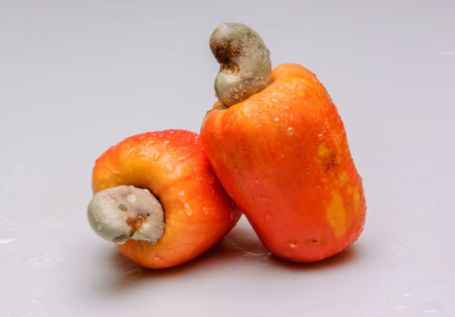 Dois cajus maduros, com castanhas, mostrando a fruta com gotículas de água.