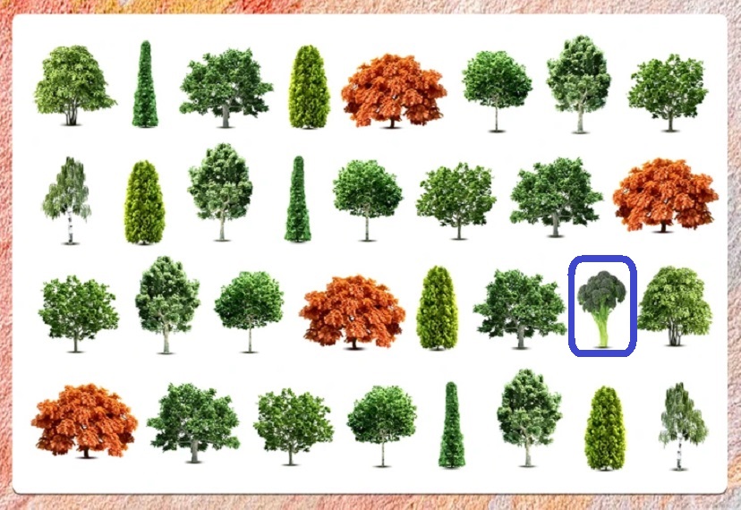 Desafio lógico com múltiplas árvores de diferentes formas e cores, principalmente verdes e laranja, organizadas em linhas sobre fundo branco
