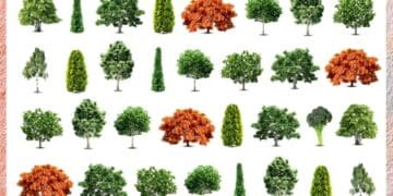Desafio lógico com múltiplas árvores de diferentes formas e cores, principalmente verdes e laranja, organizadas em linhas sobre fundo branco