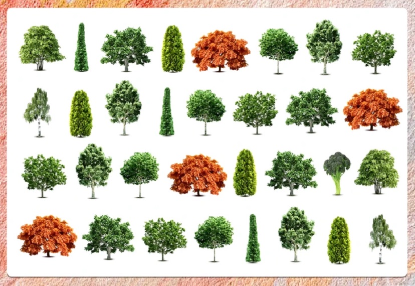 Desafio lógico com múltiplas árvores de diferentes formas e cores, principalmente verdes e laranja, organizadas em linhas sobre fundo branco