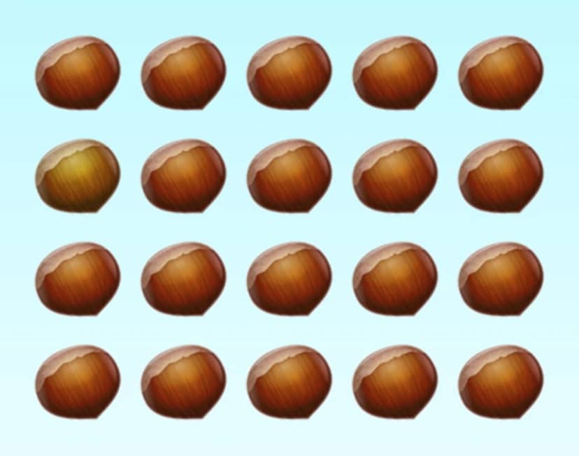 Desafio visual com um conjunto de 20 avelãs desenhadas e alinhadas em fundo azul claro