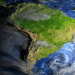 Quais são as 5 regiões do Brasil? Veja como o país é dividido geograficamente