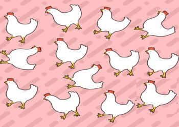 Desafio visual com desenho de várias galinhas brancas com crista vermelha em padrão sobre fundo rosa