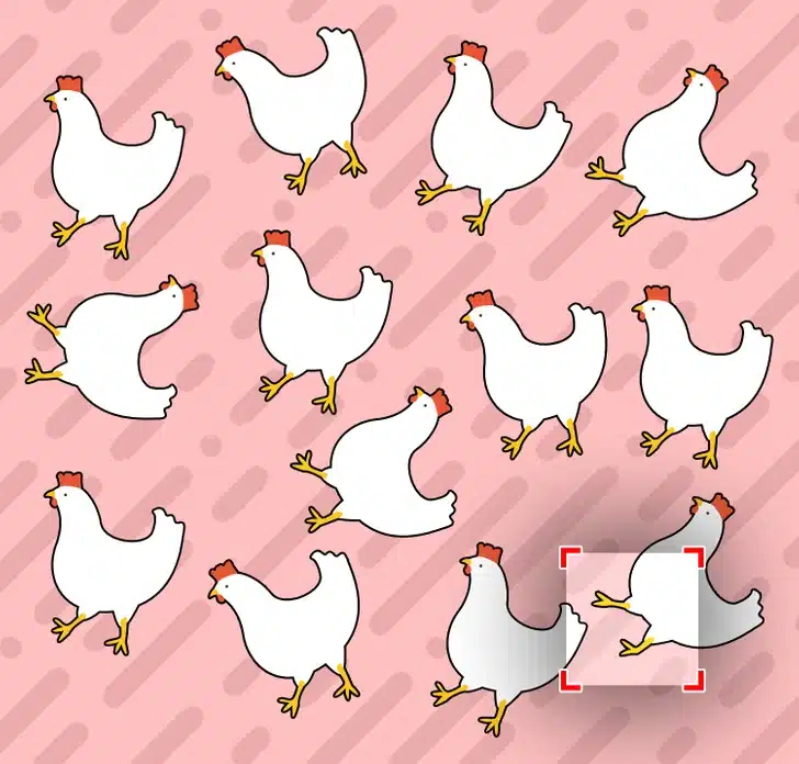 Ache a galinha fora do padrão entre as galinhas brancas em fundo rosa. Desafio visual com desenho de várias galinhas brancas com crista vermelha em padrão sobre fundo rosa
