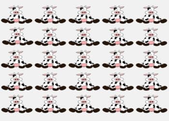 Teste visual com padrão repetido de desenhos de vacas-pretas e brancas sentadas com expressão fofa e simples