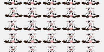 Teste visual com padrão repetido de desenhos de vacas-pretas e brancas sentadas com expressão fofa e simples