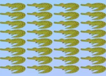 Desafio visual com uma ilustração de crocodilos verdes organizados em um padrão repetitivo.