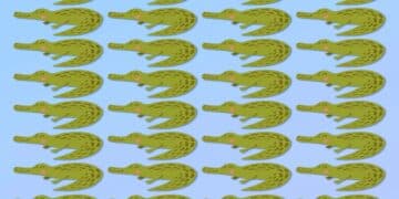 Desafio visual com uma ilustração de crocodilos verdes organizados em um padrão repetitivo.