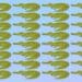 Desafio visual com uma ilustração de crocodilos verdes organizados em um padrão repetitivo.